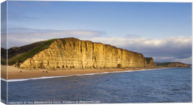 Westbay cliffs also known as broadchurch cliffs Canvas Print by Ann Biddlecombe