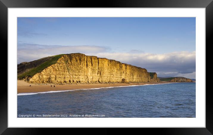 Westbay cliffs also known as broadchurch cliffs Framed Mounted Print by Ann Biddlecombe