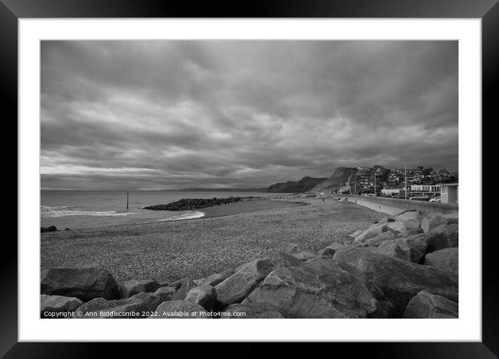 Monochrome West bay pebble beach Framed Mounted Print by Ann Biddlecombe