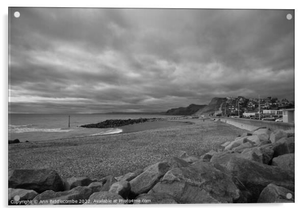 Monochrome West bay pebble beach Acrylic by Ann Biddlecombe