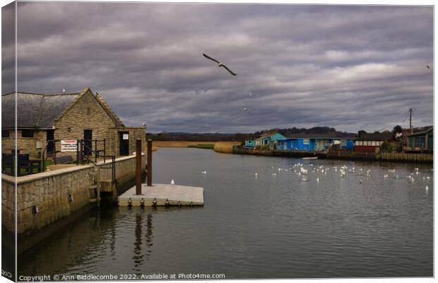 Seagulls on the River Brit estuary  Canvas Print by Ann Biddlecombe