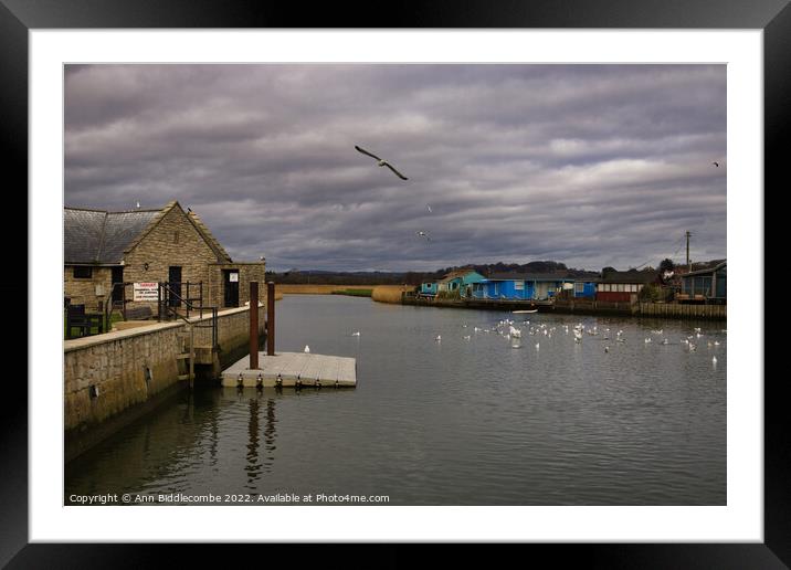 Seagulls on the River Brit estuary  Framed Mounted Print by Ann Biddlecombe