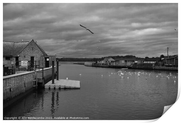 Monochrome Seagulls on the  River Brit Print by Ann Biddlecombe