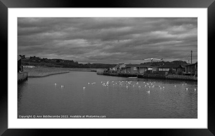 monochrome Seagulls on the River Brit Framed Mounted Print by Ann Biddlecombe