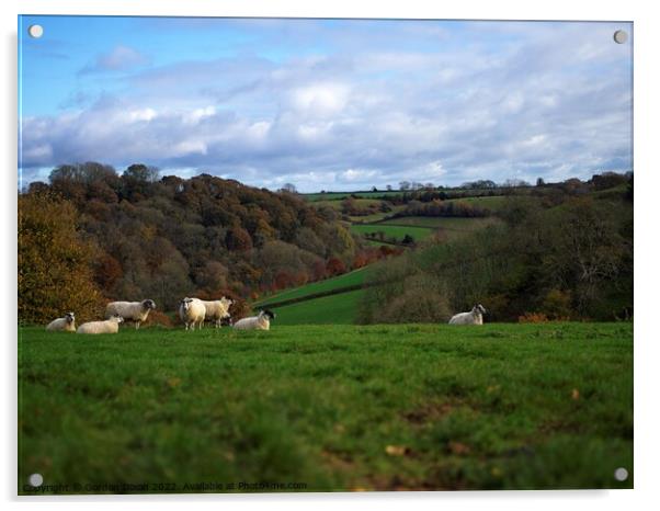 Sheep grazing in an English landscape Acrylic by Gordon Dixon