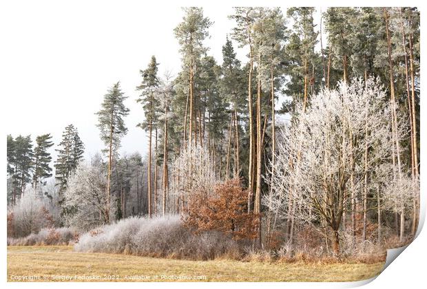 Winter countryside landscape in Czechia. Print by Sergey Fedoskin
