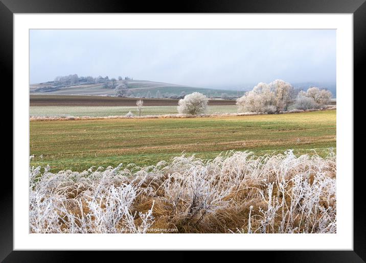 Winter landscape in Czech countryside. Framed Mounted Print by Sergey Fedoskin