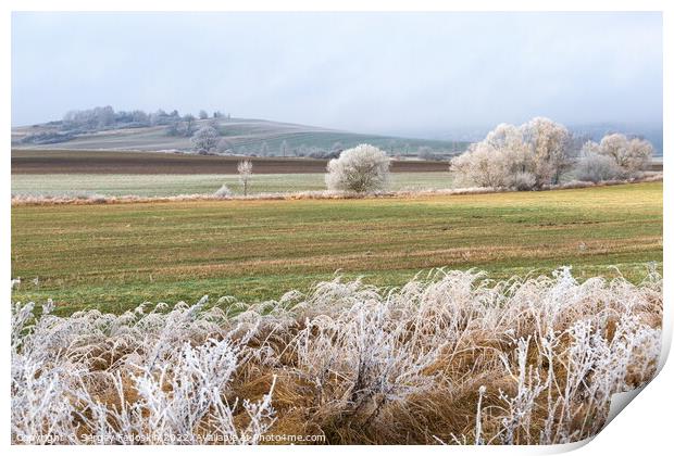 Winter landscape in Czech countryside. Print by Sergey Fedoskin