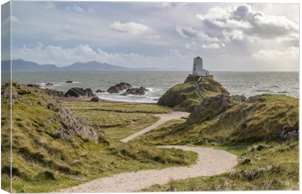 Winding pathway to Twr Mawr Canvas Print by Jason Wells