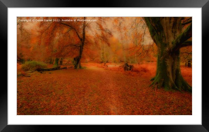 Enchanting Autumn Forest Framed Mounted Print by Derek Daniel