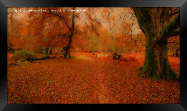 Enchanting Autumn Forest Framed Print by Derek Daniel