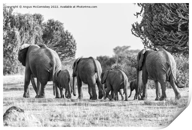 Elephant family disappearing into bush Uganda mono Print by Angus McComiskey