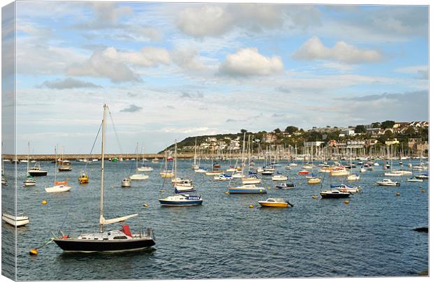 The Outer Harbour at Brixham Canvas Print by graham young