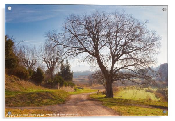 Rural road in winter - C1512-4042-GRACOL Acrylic by Jordi Carrio