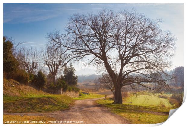Rural road in winter - C1512-4042-GRACOL Print by Jordi Carrio