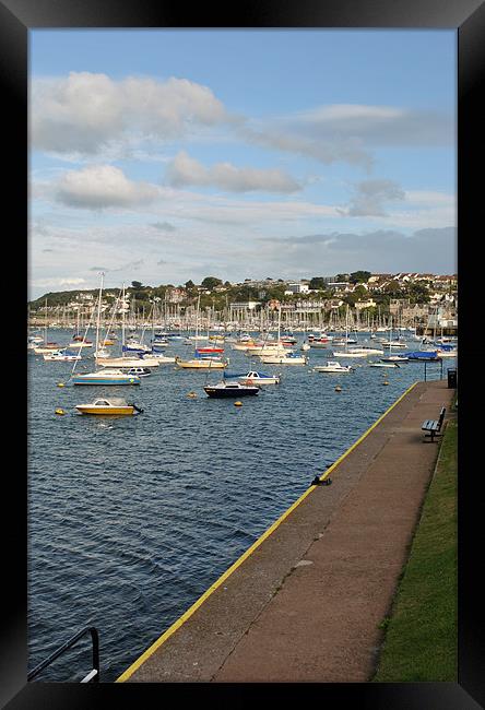 Brixham Harbour Framed Print by graham young