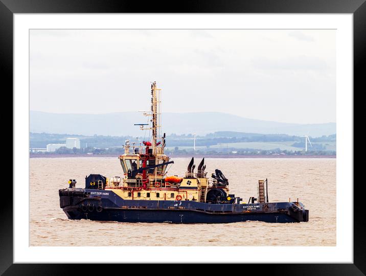 Svitzer Hawk Framed Mounted Print by Rory Hailes