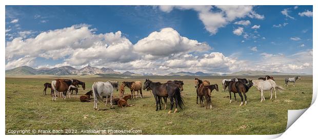 Herd of horses at lake Son Kul in the mountains og Kyrgysztan Print by Frank Bach