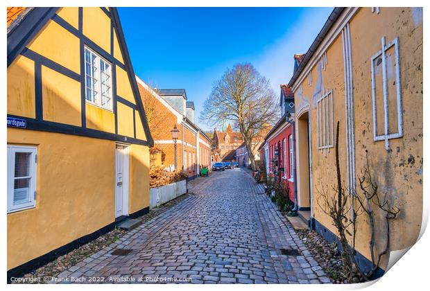 Cobbled streets in the old medieval city Ribe, Denmark Print by Frank Bach