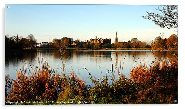 Lurgan Park in Autumn Acrylic by David McFarland