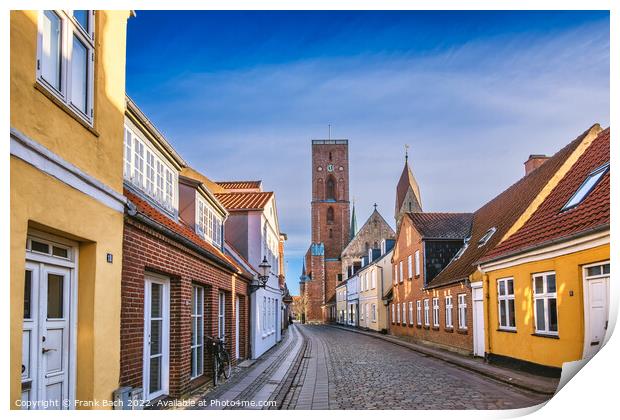 Cathedral in old medieval city Ribe, Denmark Print by Frank Bach