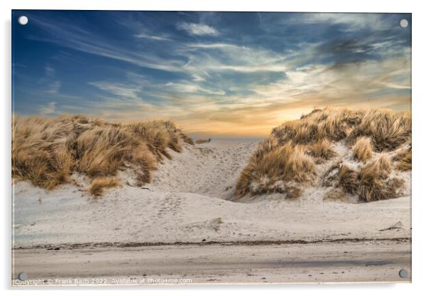 Dunes at the North Sea coast at Blaavand Beach, Denmark Acrylic by Frank Bach