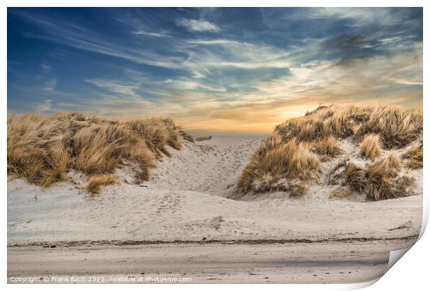 Dunes at the North Sea coast at Blaavand Beach, Denmark Print by Frank Bach
