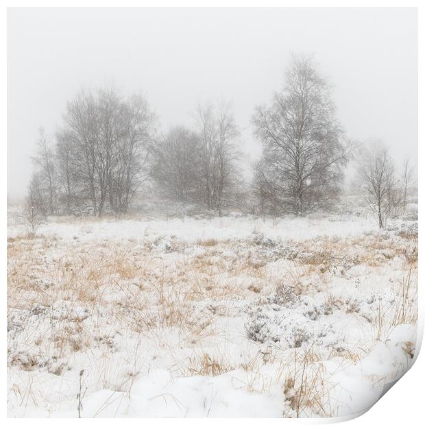 Snow covers the landscape  Print by chris smith
