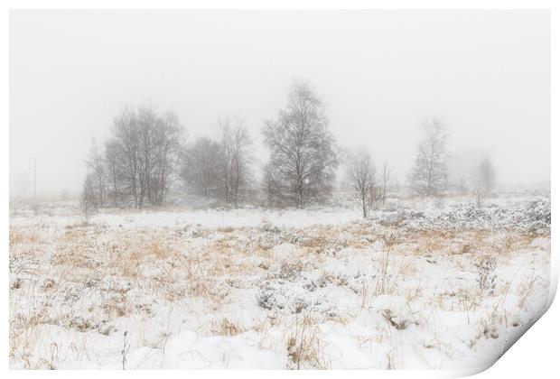 Snow covers the landscape  Print by chris smith