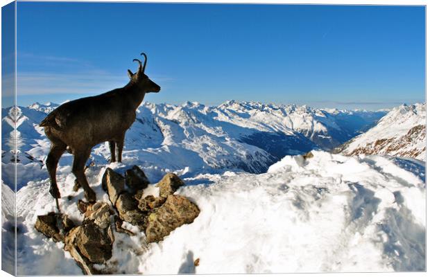 Hochgurgl Obergurgl Tirol Austrian Alps Austria Canvas Print by Andy Evans Photos