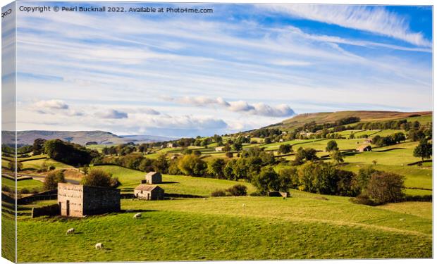 Countryside Wenslydale Yorkshire Dales Canvas Print by Pearl Bucknall