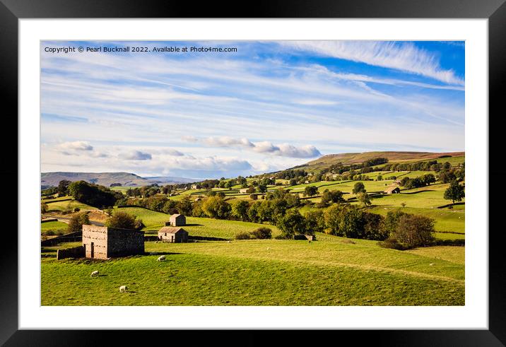 Countryside Wenslydale Yorkshire Dales Framed Mounted Print by Pearl Bucknall