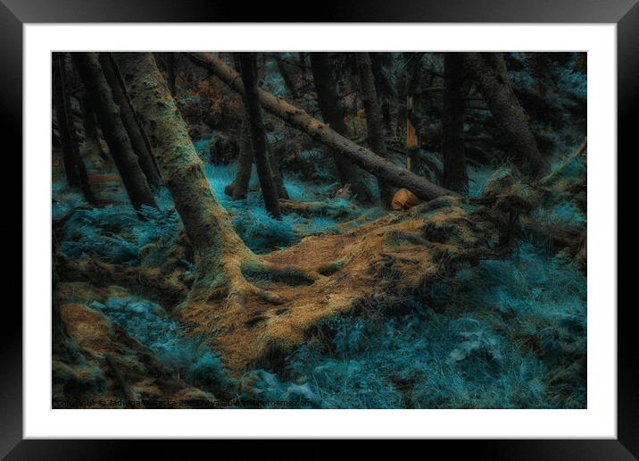 Magical Forest - Isle of Skye Framed Mounted Print by Jadwiga Piasecka