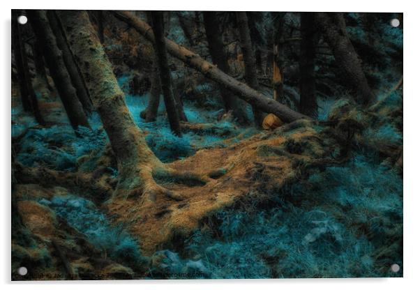 Magical Forest - Isle of Skye Acrylic by Jadwiga Piasecka