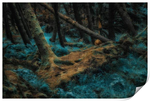 Magical Forest - Isle of Skye Print by Jadwiga Piasecka