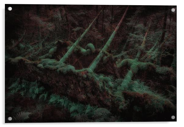 Dark Forest - Isle of Skye Acrylic by Jadwiga Piasecka