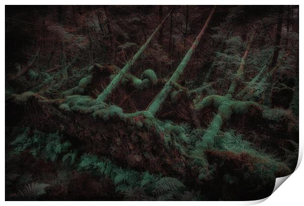 Dark Forest - Isle of Skye Print by Jadwiga Piasecka