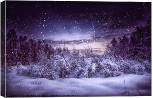 Frosty Night - Finnish Lapland Canvas Print by Jadwiga Piasecka