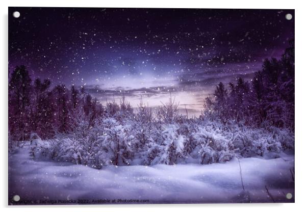 Frosty Night - Finnish Lapland Acrylic by Jadwiga Piasecka