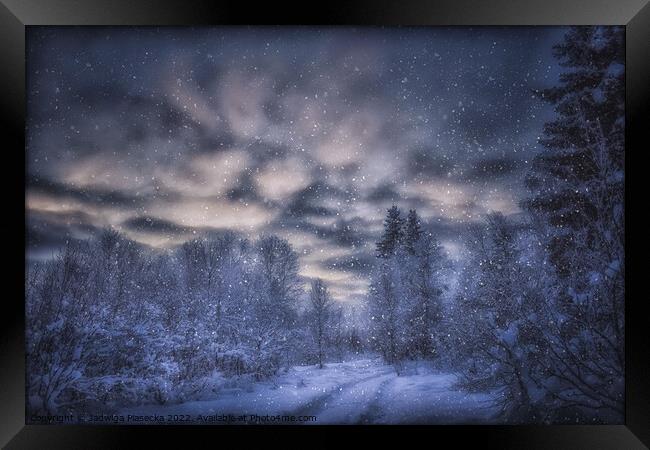 Snowy Forest - Finnish Lapland Framed Print by Jadwiga Piasecka