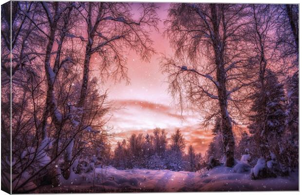 Beautiful Sunset in snowy Finland  Canvas Print by Jadwiga Piasecka