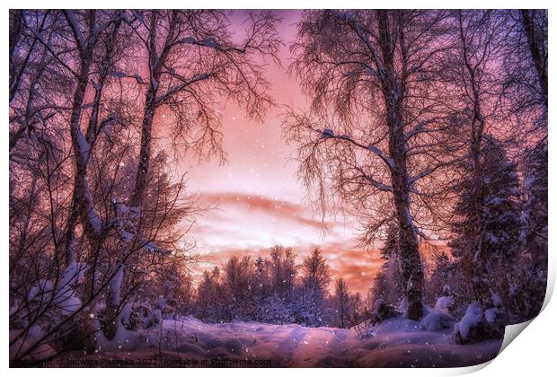 Beautiful Sunset in snowy Finland  Print by Jadwiga Piasecka