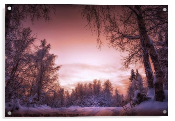Beautiful sunset in Lapland Acrylic by Jadwiga Piasecka