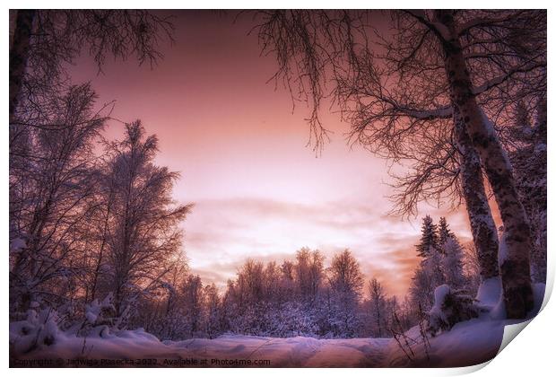 Beautiful sunset in Lapland Print by Jadwiga Piasecka