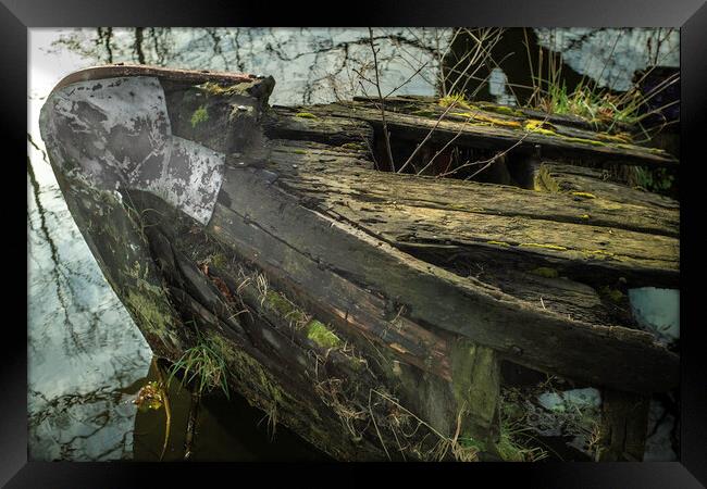 The once proud oaken barge. Framed Print by Steve Taylor