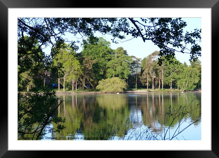 The beauty of the trees and shadows over Petersfield Pond  Framed Mounted Print by Peter Hodgson