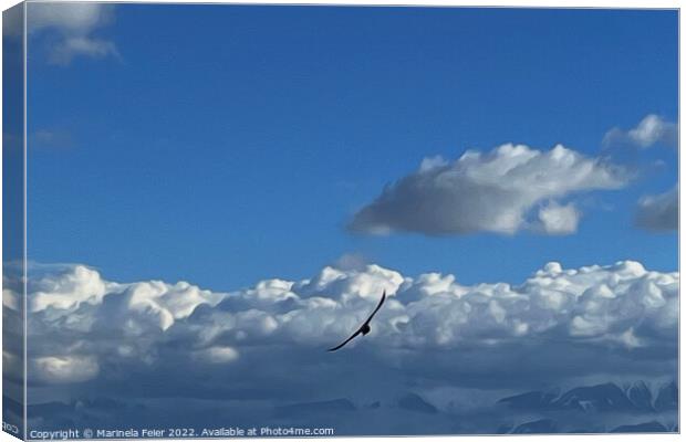 A flight under the clouds Canvas Print by Marinela Feier