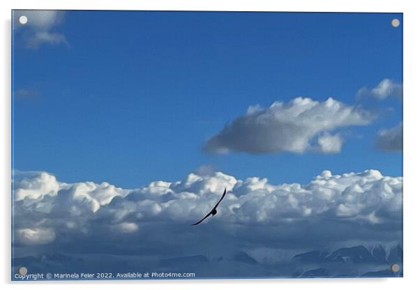 A flight under the clouds Acrylic by Marinela Feier