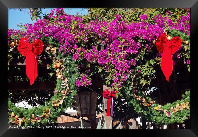 Christmas Wreaths Bougainvillea Old San Diego California Framed Print by William Perry
