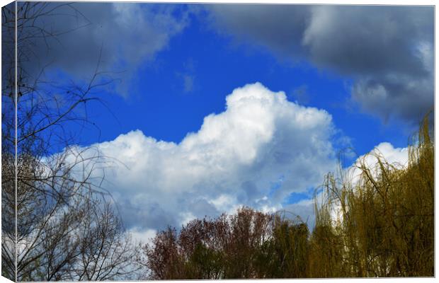 Sky cloud Canvas Print by liviu iordache